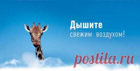 Фаберлик - живи красиво&amp;#33; | VK
Дышим чистым воздухом....