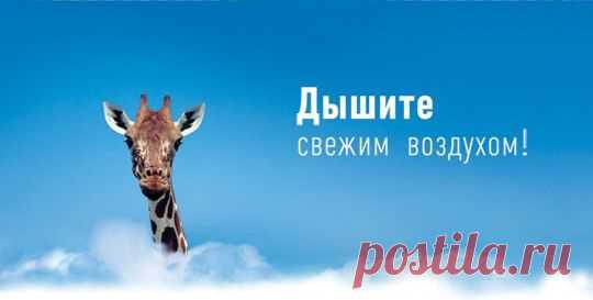 Фаберлик - живи красиво&#33; | VK
Дышим чистым воздухом....