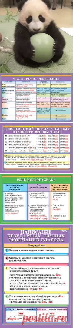 (99) Одноклассники
