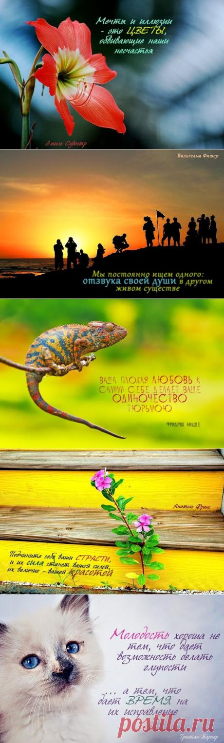 Цитаты в картинках..