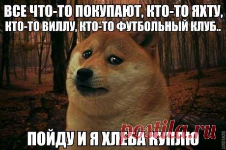 Новости