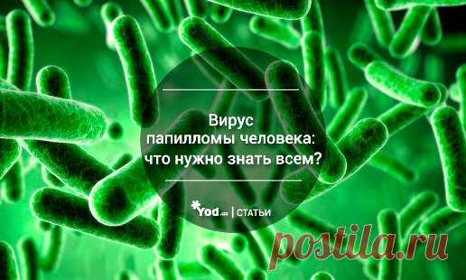 Аллокин альфа лечение папилломы вируса у мужчин. Вирус папилломы