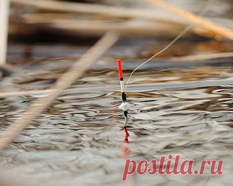 Весенняя рыбалка в марте - читайте на Сatcher.fish Весенняя рыбалка в марте. Весной, когда по берегам рек начинается активное снеготаяние, вся белая рыба устремляется туда, где поступающие потоки воды несут больше кислорода и