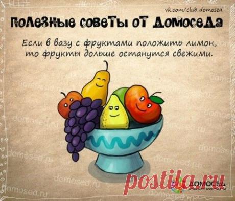 Полезные советы в картинках | Подружки
