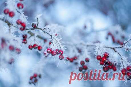 Фотокарточки от Levente Bodo