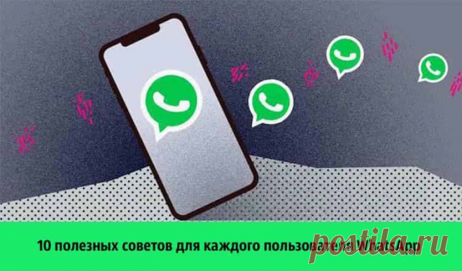 10 полезных советов для каждого пользователя WhatsApp 10 полезных советов для каждого пользователя WhatsApp.WhatsApp — один из популярнейших мессенджеров, с помощью которого общаются