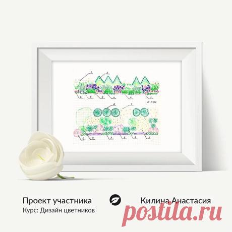 Дизайн цветника в городском дворе | Школа сада | Яндекс Дзен