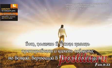 Библия каждый день