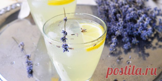 15 рецептов домашнего лимонада, который вкуснее магазинного - Лайфхакер