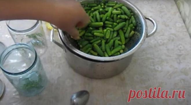 Самые хрустящие маринованные огурчики: рецепт моей бабушки нравится всем