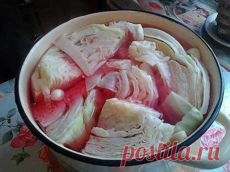 "Капуста по-гурийски" - ВКУСНОТИЩА  НЕОБЫКНОВЕННАЯ!!!


Ингредиенты:
- кочан белой капусты,
- свекла,
- чеснок,
- стручок горького перца,
- чёрный горошком перец,
- соль,
- крутой кипяток

Приготовление:
1. Режем кочан капусты кусками вместе с кочерыжкой, свеклу разрезаем кружочками, чистим чеснок, нарезаем кусочками горькую перчину.
2. В глубокую кастрюлю складываем слоями:куски капусты, затем кружки свеклы, затем дольки чеснока, и кусочки гор. перца, перец чёр. горошком,...