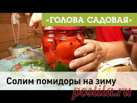 Голова садовая - Солим помидоры на зиму