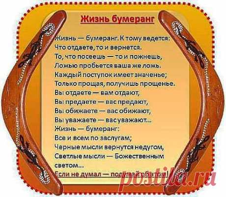 жизнь бумеранг