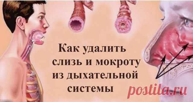 Как выгнать слизь и мокроту из горла и груди: 5 средств, которые работают
Пять продуктов, которые всегда должны быть под рукой.

Основными причинами кашля и проблем с дыханием являются назальная и дыхательная обструкция, которые часто вызываются мокротой.

Мокрота - клейкое вещество, выделяемое дыхательной системой как способ защитить себя. Роль мокроты заключается в улавливании всей пыли, загрязнений и аллергенов, которые поступают извне. Но в процессе воспаления ЛОР-орга...