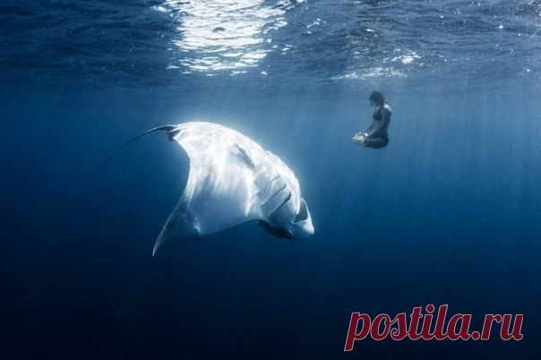 Больше, чем просто фотография