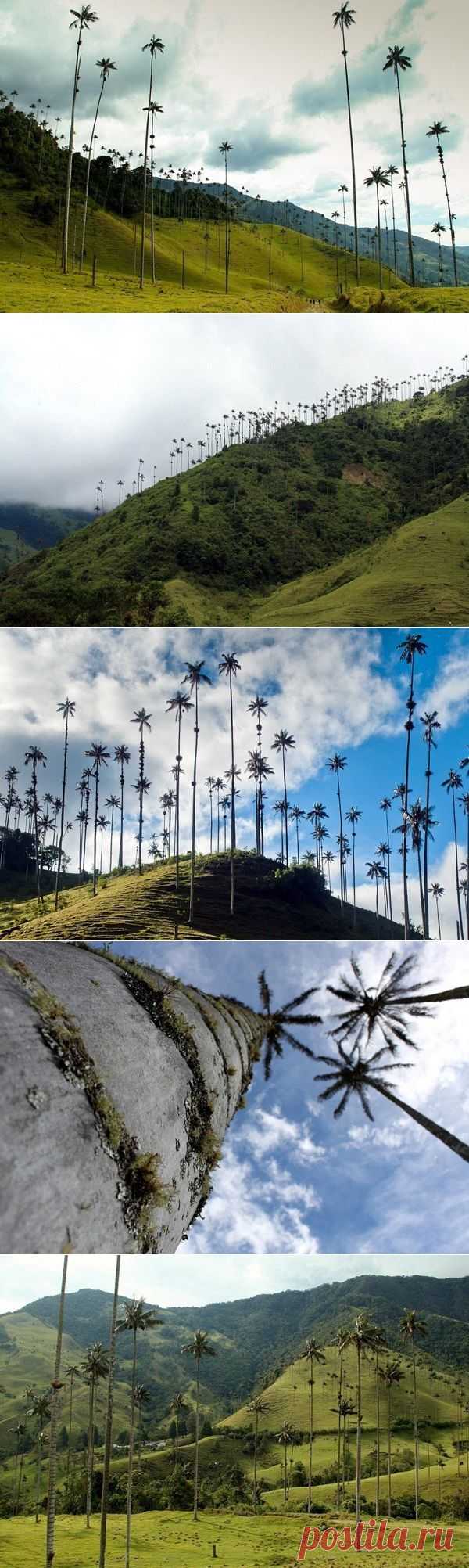 Долина Кокора