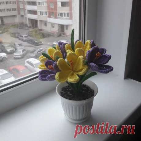 Схема для вязания крокуса