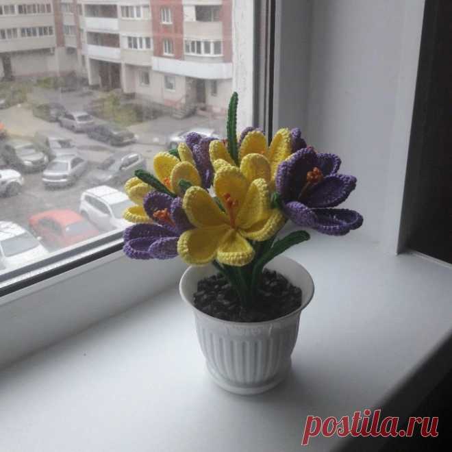 Схема для вязания крокуса