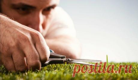 4 совета перфекционистам: как перестать критиковать себя.
Всем привет!! Каждый день мы ощущаем давление в социальных сетях, сми и видим картинки идеальной жизни людей, все успешные и богатые. Каждый раз слышим: нужно все время добиваться большего, расти и развиваться. Неудивительно, что многим из нас начинается казаться, что мы отстаем от других. Склонность к самокритике — одна из главных...
Читай пост далее на сайте. Жми ⏫ссылку выше