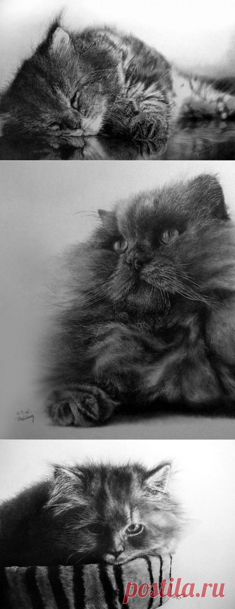 Мастер карандашного наброска – Пол Ланг