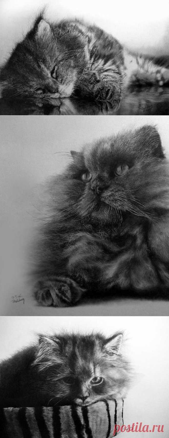 Мастер карандашного наброска – Пол Ланг