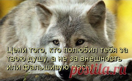 Интересные новости