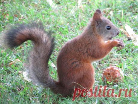 Мой Мир@Mail.Ru