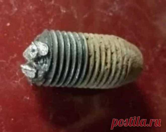 Выкручивание обломанного болта может стать настоящей головной болью. А ведь часто головка просто отламывается, если болт старый и сильно ржавый