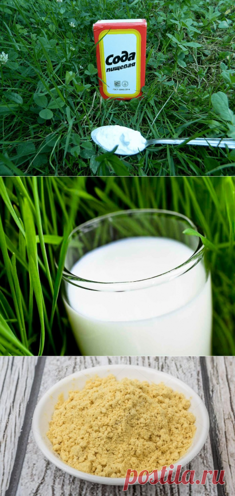 Недорогие средства из продуктового магазина, с помощью которых можно улучшить урожай