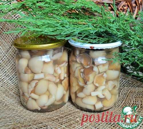 Грибы белые маринованные - кулинарный рецепт