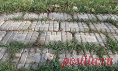 Как избавиться от травы и сорняков на садовых дорожках Дачная дорожка, выложенная плиточками или камнями, безусловно украшает наш участок, делает его более ухоженным. Плюс это гораздо удобнее, нежели тропинки: и обувь чище, и ходишь не по лужам.
Но в таки...