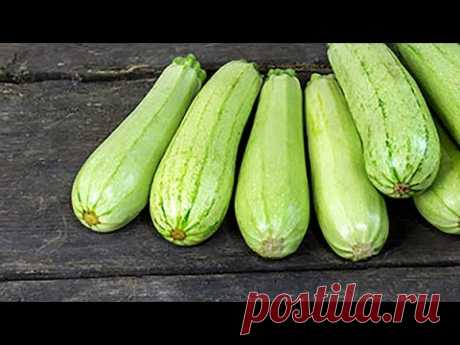 5 ПОТРЯСАЮЩИХ БЛЮД за один час из 3 кг КАБАЧКОВ