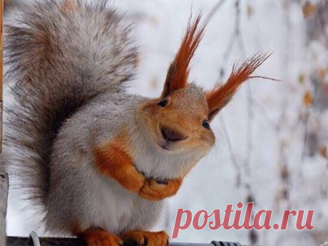 Всех с наступающим! Много не пейте, а то приду.