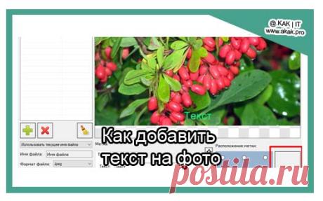 Как добавить текст на фото