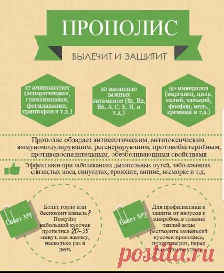 Прополис