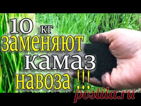 ЗАБУДЬТЕ ПРО НАВОЗ!ЭТО СРЕДСТВО ЭФФЕКТИВНЕЕ В 1000 РАЗ!!!