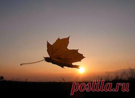Միշտ մտածե՛ք միայն լավի մասին. մարդը նմանվում է իր մտքերին:

2. Սովորե՛ք շնորհակալ լինել. շնորհակալ մարդը երբեք ոչ մի բանի կարիք չի
ունենում:

3. Մի՛ պարծեցեք ինքներդ Ձեզնով: Ինքնաներշնչանքը խեղաթյուրում է
իրականության ճիշտ պատկերացումը: Եվ հիշե՛ք, որ «Աստված հակառակ է
հպարտներին»:

4. Մի՛ վախեցեք Ձեր ճանապարհին հայտնված դժվարություններից: Վախը
կաթվածահար է անում Ձեր կամքն ու ճնշում հոգին:
Օգուտ քաղե՛ք անհաջողություններից: Նույնիսկ անհաջող փորձը կարող է
հարստացնել Ձեր կյանքը: