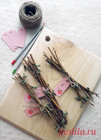 Чай из веточек: как заваривать, чем полезен...