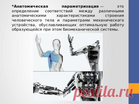 Экзоскелет