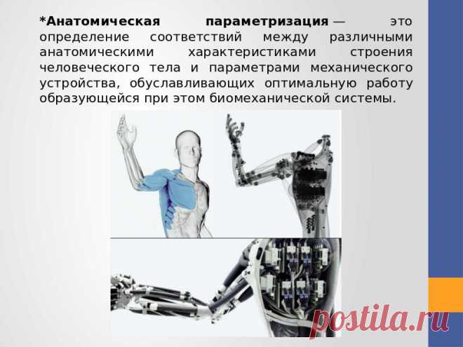 Экзоскелет