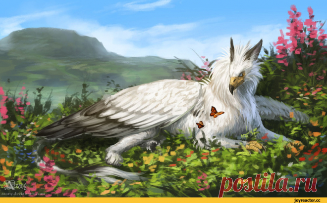 Мифические существа :: Azany :: Fantasy (Fantasy art) :: грифон :: art (арт) / смешные картинки и другие приколы: комиксы, гиф анимация, видео, лучший интеллектуальный юмор.