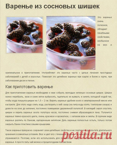 Заготовки | Записи в рубрике Заготовки | Дневник Nikash