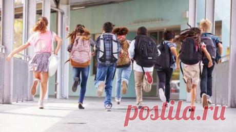 6 жизненных уроков, которые не преподают в школе — Моя кухня