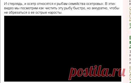 Как чистить стерлядь и осетра (видео)