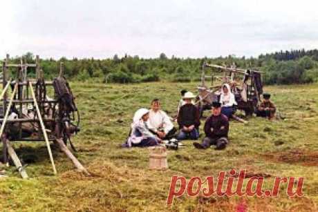 Генезис капиталистических фермеров