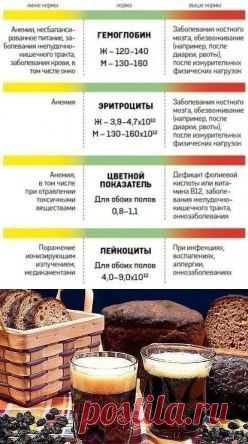 (4) Одноклассники