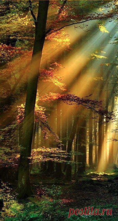 Merri Fernandez приколол(а) это к доске M♥ther Nature