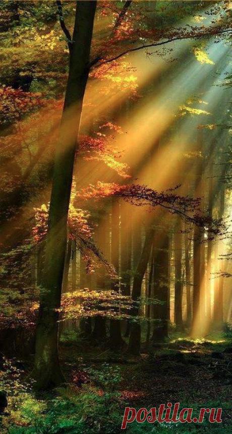 Merri Fernandez приколол(а) это к доске M♥ther Nature