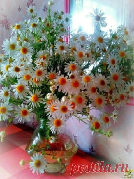 Одноклассники