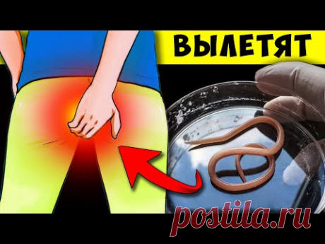 Вылезет ком Глистов, если воспользоваться Обычным... 90 % заражены Паразитами + Еда от паразитов